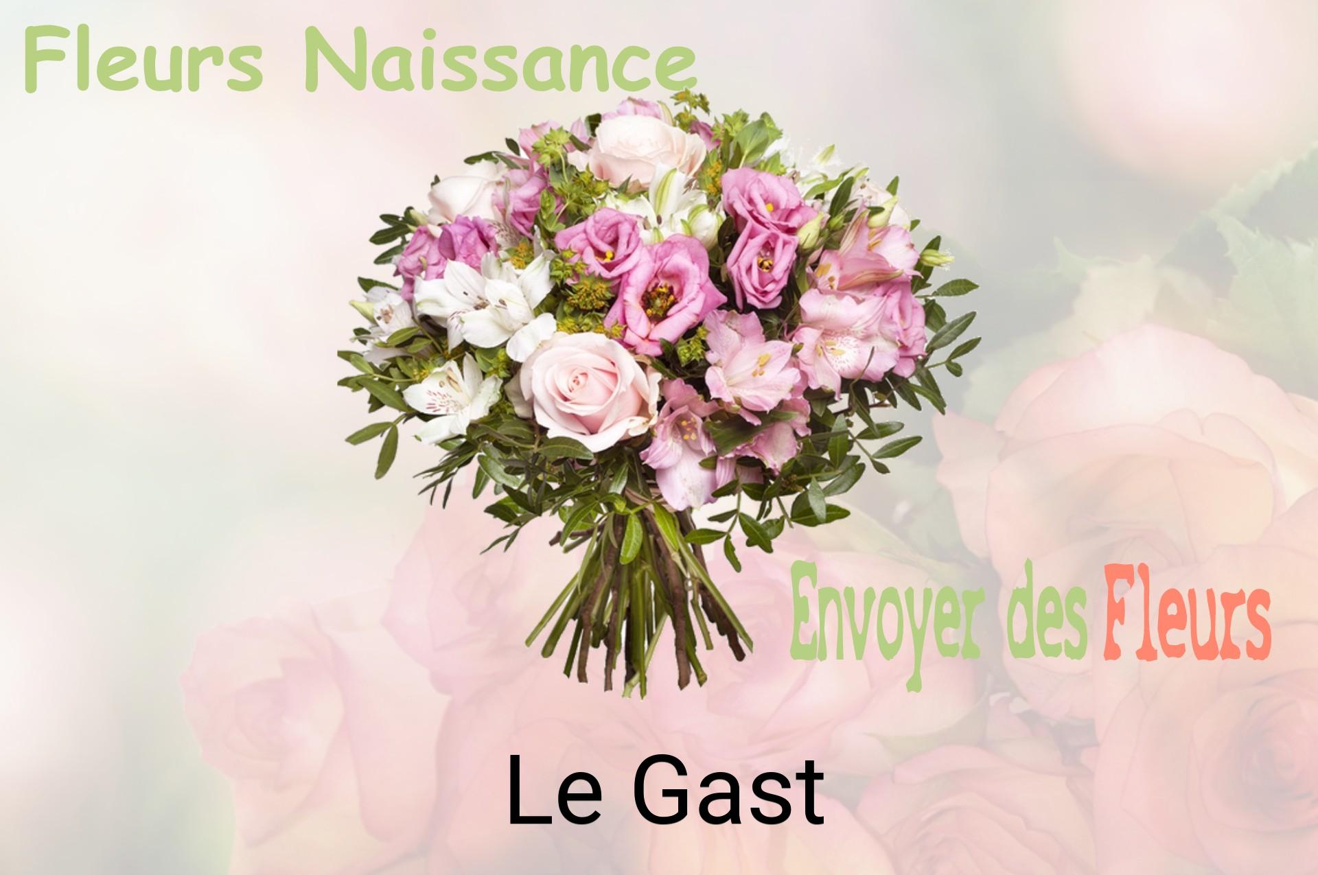 Bouquet de fleurs de naissance livré à Le Gast